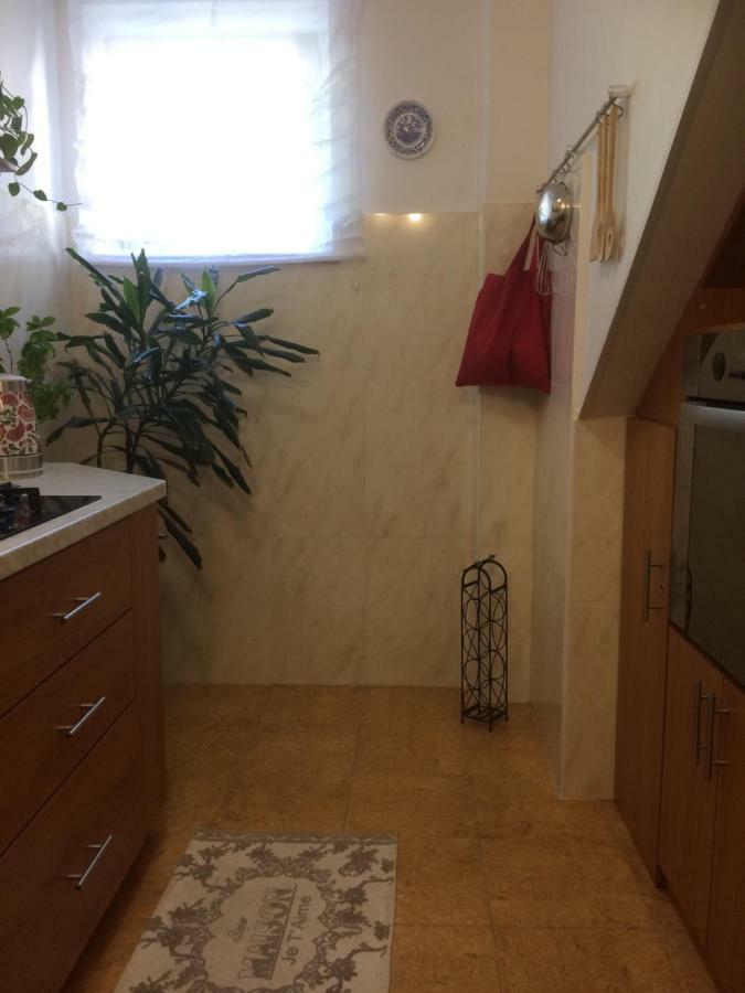 Apartman Vitis Dubrovnik Dış mekan fotoğraf